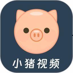 小猪哥爆料视频全集下载,揭秘幕后真相，带你走进事件全貌