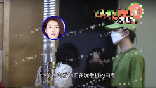 媒体爆料白鹿事件视频大全,揭秘背后真相与争议