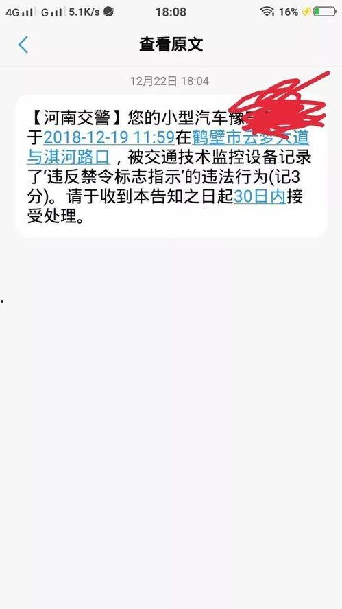 鹤壁热点爆料新闻最新,考古新发现引专家热议