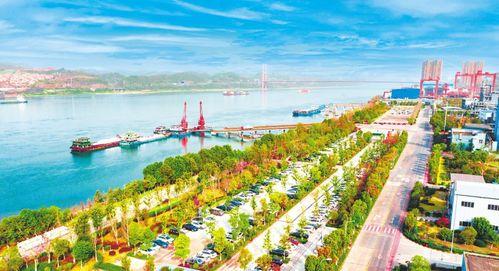 春天碧海爆料新闻