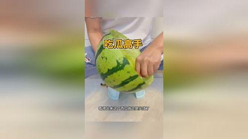 我是吃瓜高手小说免费阅读