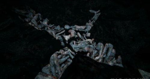 爆料须弥剧情解析视频,揭秘爆料视频中的关键线索与剧情走向