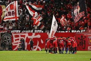 仙台七夕爆料最新消息,神秘事件引发热议，真相即将揭晓！