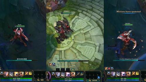 冠军掠夺者爆料视频大全,揭秘视频大全背后的精彩瞬间