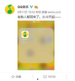 娱乐吃瓜用的音乐软件,娱乐吃瓜者的音乐盛宴