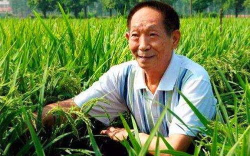 吃瓜评论区娱乐圈,揭秘明星幕后故事与真实情感