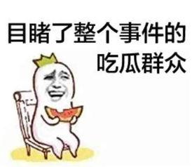 娱乐吃瓜酱过度解读,揭秘娱乐圈背后的真相与误解