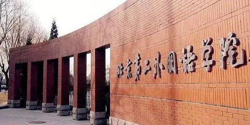 娱乐吃瓜酱大学,大学生活中的趣味瞬间