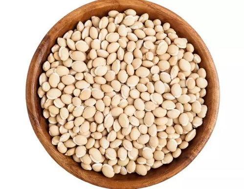 娱乐吃瓜又吃豆