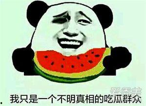 吃瓜群众娱乐娱乐,吃瓜群众狂欢时刻