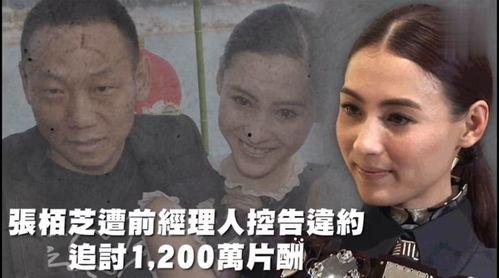 最新的影视娱乐吃瓜